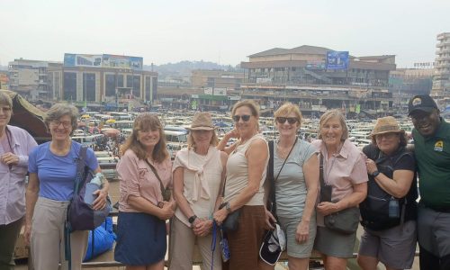 IMG_20250201_162230_240