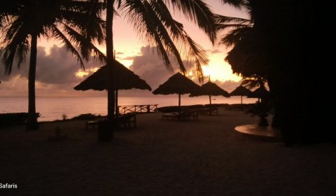 IMG_20251105_053502_043